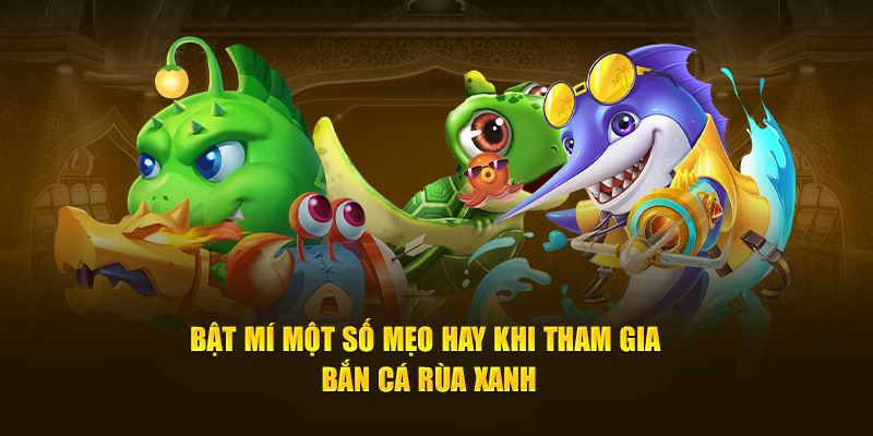 Chiến lược tham gia nhanh chóng rinh thưởng khủng