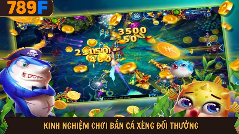 Bí kíp săn ngư được các cao thủ chia sẻ