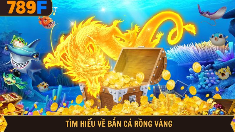 Tổng quan về sức hút của bắn cá rồng vàng