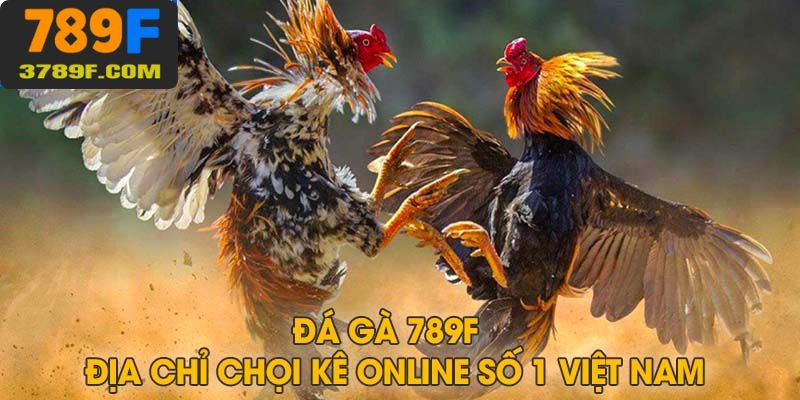 Kinh nghiệm giúp thắng lớn khi chơi gà đá tại nhà cái 789F