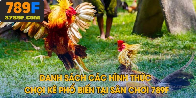 Tổng quan các hình thức chọi kê được ưa chuộng nhất hiện nay
