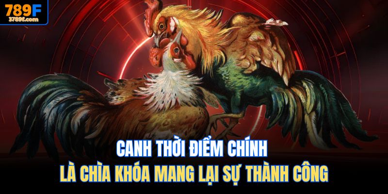 Canh thời điểm chính là chìa khóa mang lại sự thành công