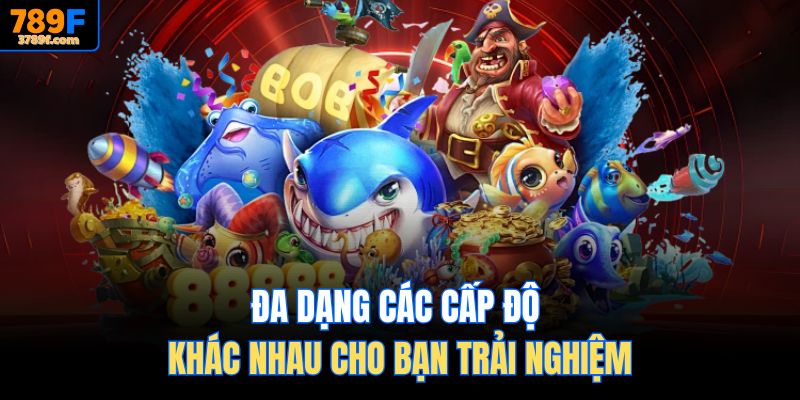 Đa dạng các cấp độ khác nhau cho bạn trải nghiệm