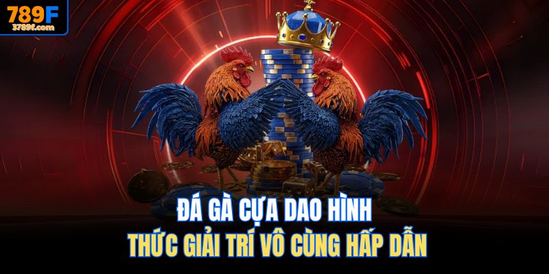 Đá gà cựa dao hình thức giải trí vô cùng hấp dẫn