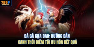 Đá gà cựa dao tại 789F
