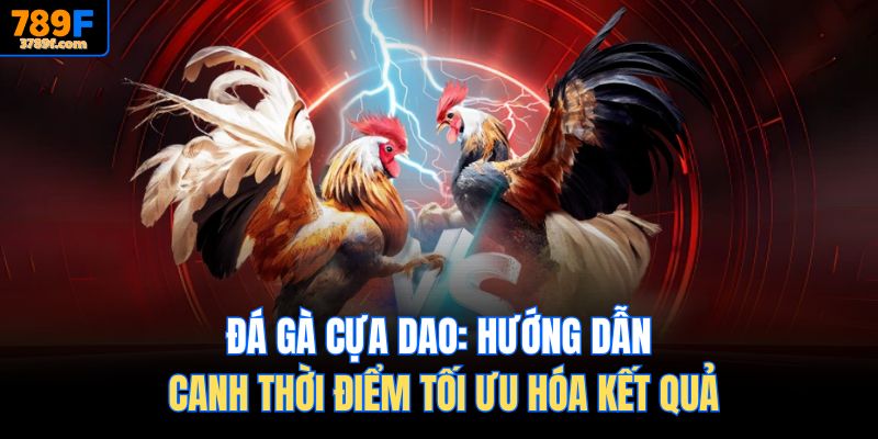Đá Gà Cựa Dao: Hướng Dẫn Canh Thời Điểm Tối Ưu Hóa Kết Quả