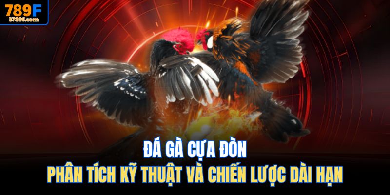Đá Gà Cựa Đòn – Phân Tích Kỹ Thuật Và Chiến Lược Dài Hạn