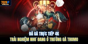 Đá gà trực tiếp 4K tại 789F